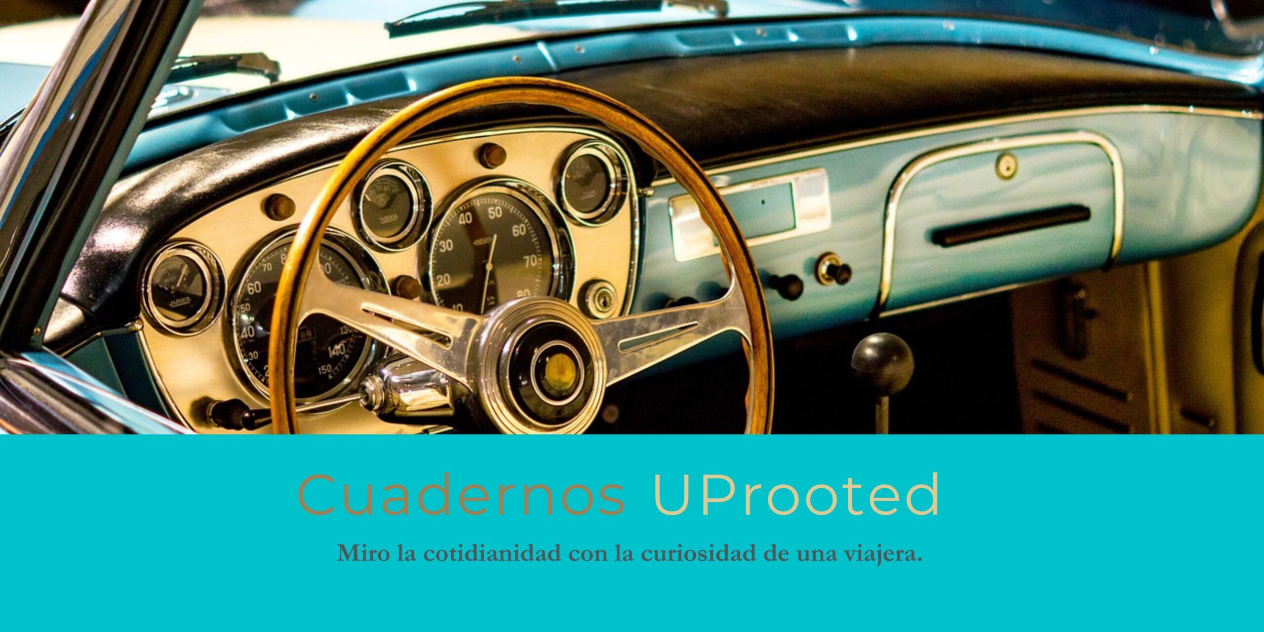 Header_Cuadernos Uprooted